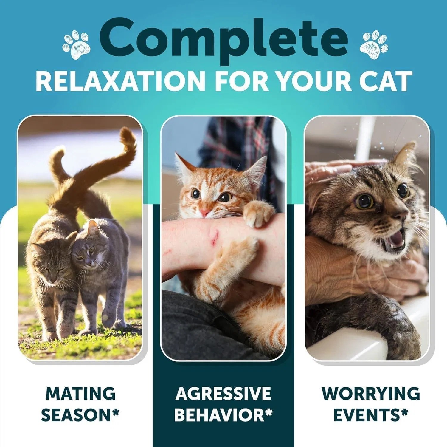 Do Not Sell On Amazon Hemp Cat Calming Treats For Stress & Anxiety Relief Cat Kittens Melatonin - Image 7