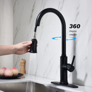 Pull-out Sprinkler Kitchen Faucet