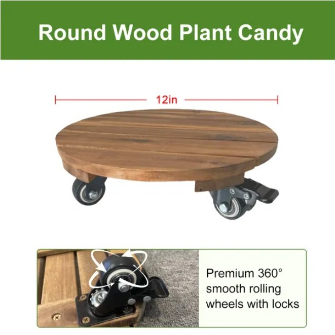 Round Wood Plant Candy With Wheels Diameter 12in - Image 4