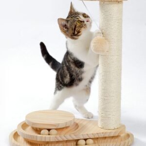 Indoor Cat Soft Scratching Board And Interactive Ball Track Toy Cat Rest And Grooming Supplies