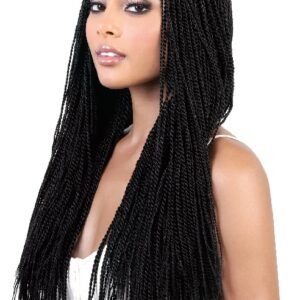 Elegant Braid Lace Wig