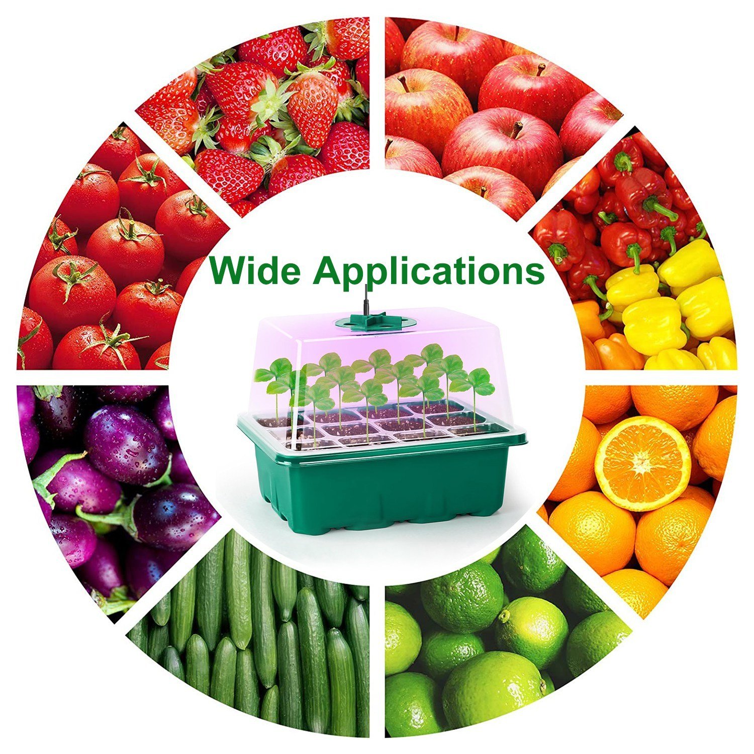 5Packs Seed Starter Tray With Grow Light Humidity Dome Germination Kit With 5-Level Brightness 4 Timers For Indoor Greenhouse - Image 4