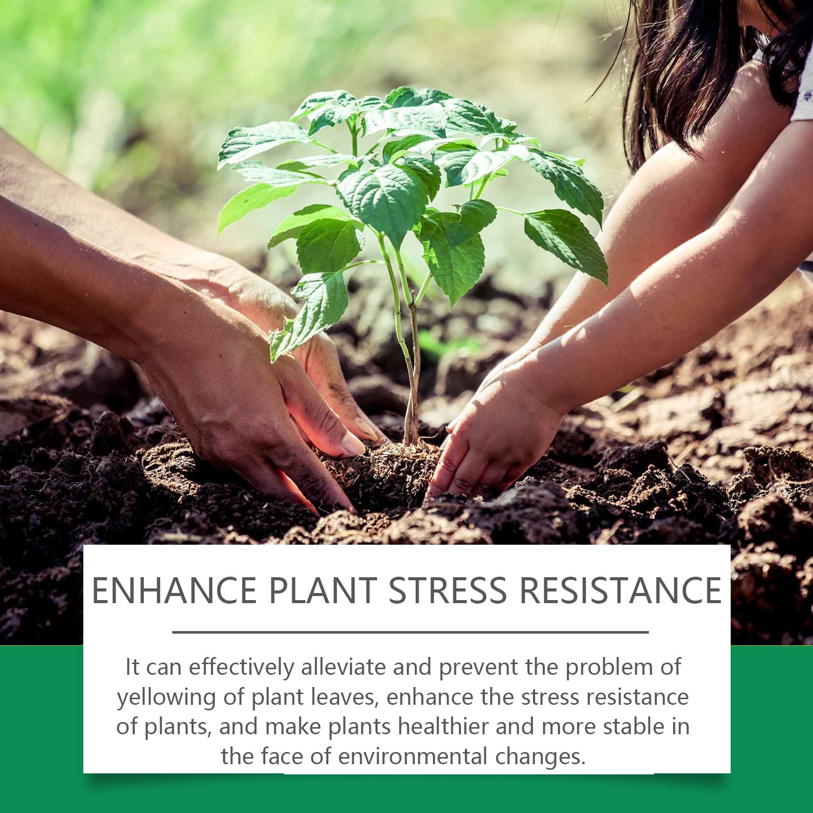 Green Plants And Leaves Healthy Growth Nutrient Solution - Image 2