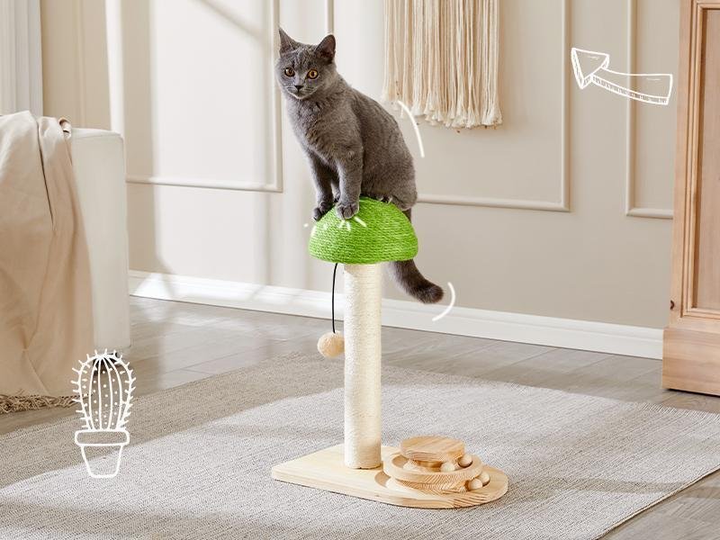 Mushroom Sisal Rope 2 In 1 Wooden Interactive Ball Track Ball Cat Scratching Post Cat Scratching Board - Image 6