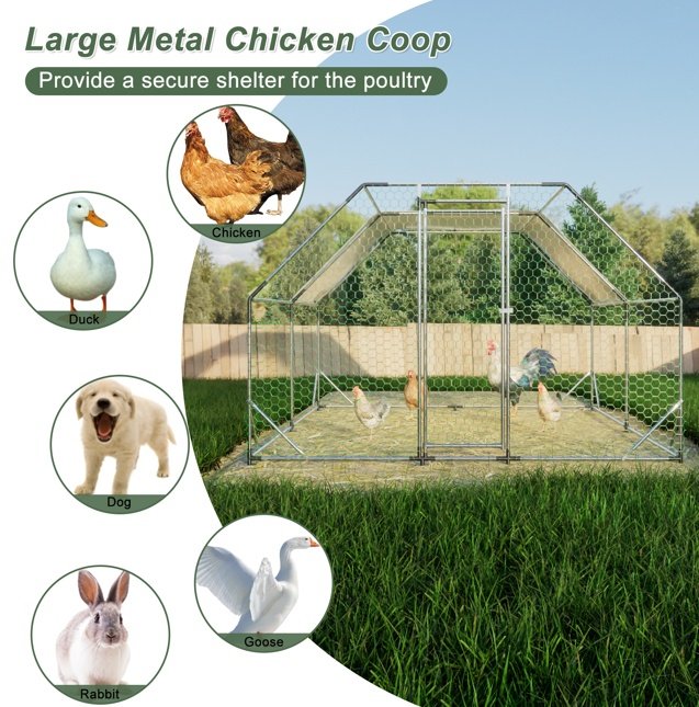 10x13 Foot Flat Top Chicken Coop - Image 4