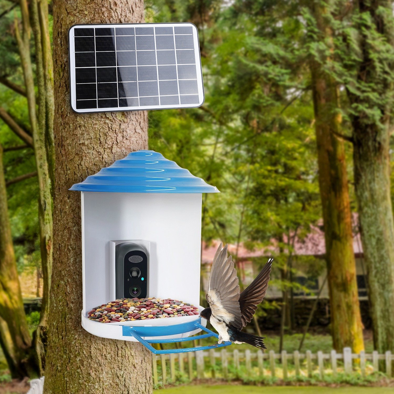 Smart Bird Feeder With Solar Powered Camera 1080P HD AI Identify PIR Motion Auto Capture Video Cloud Card Storage WiFi Connection App Control IP65 Waterproof - Image 8