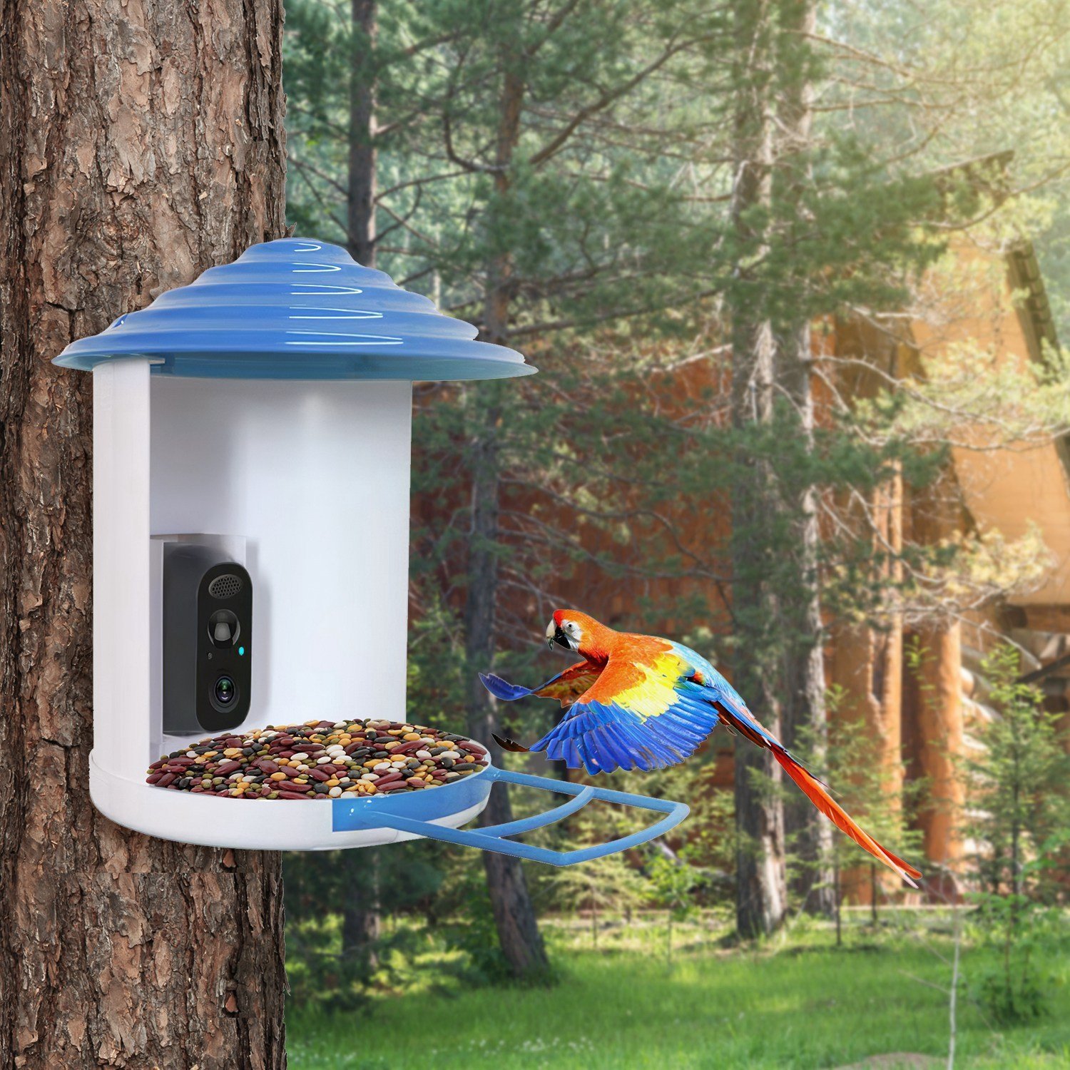 Smart Bird Feeder With Solar Powered Camera 1080P HD AI Identify PIR Motion Auto Capture Video Cloud Card Storage WiFi Connection App Control IP65 Waterproof - Image 9