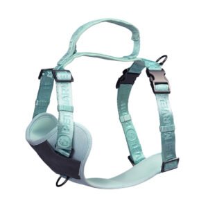 PETMARVEL Adjustable Embroidered Stylish Dog Harness